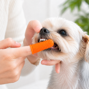 Soft Silicone Finger Toothbrush – Dental Care for Dogs & Cats