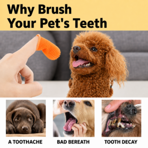 Soft Silicone Finger Toothbrush – Dental Care for Dogs & Cats
