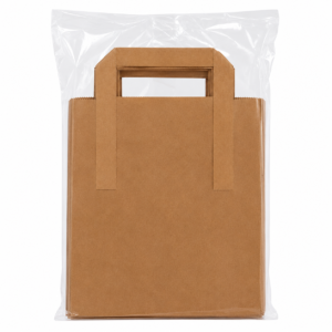 Kraft Paper Lunch Bags with Handles – 10-Pack Brown Takeaway Bags